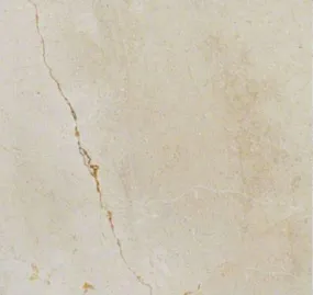 Marble Tile Collection Crema Marfil Honed Select 12"x12"